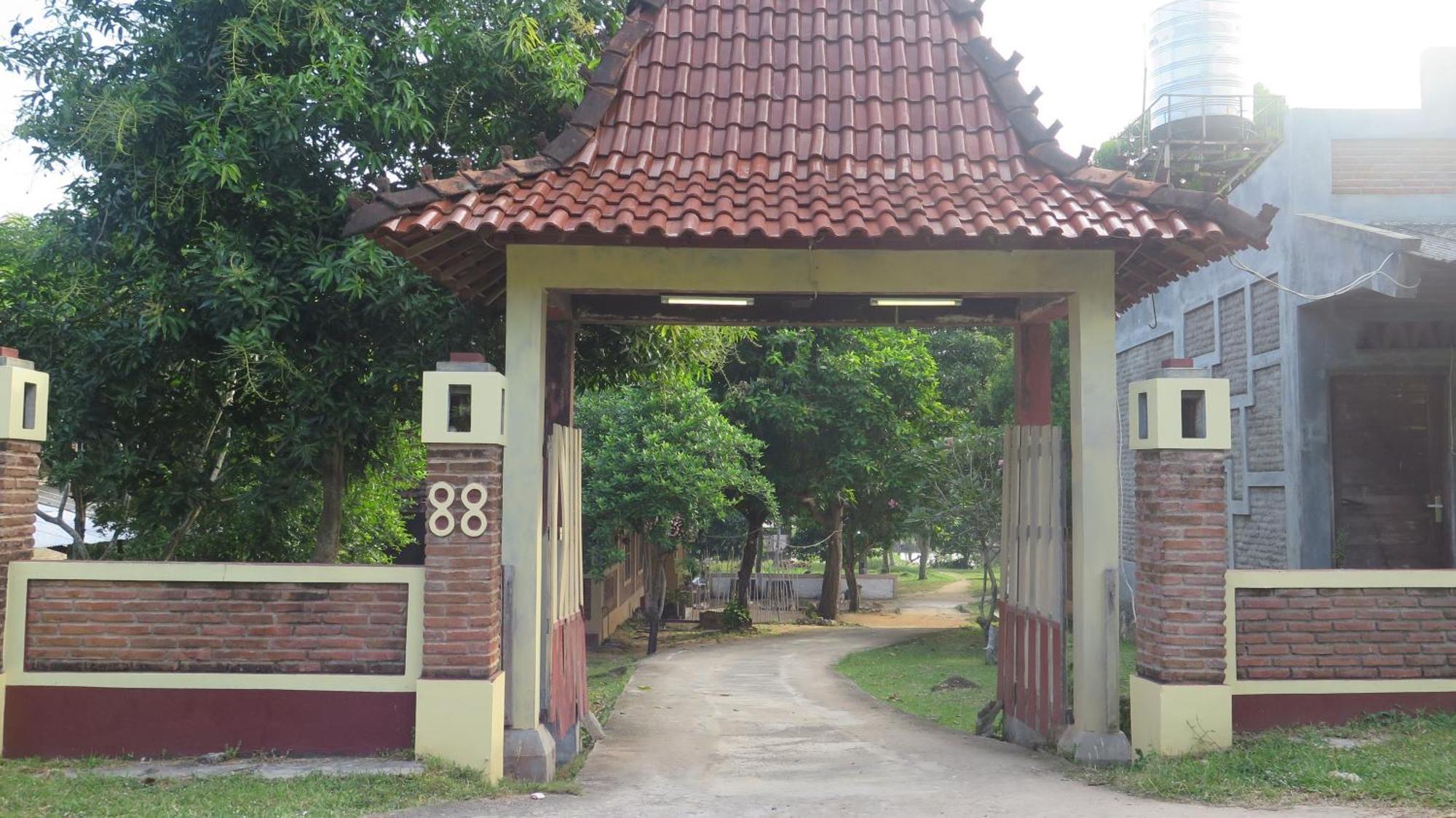 Mangrove Inn 카리문자와 외부 사진