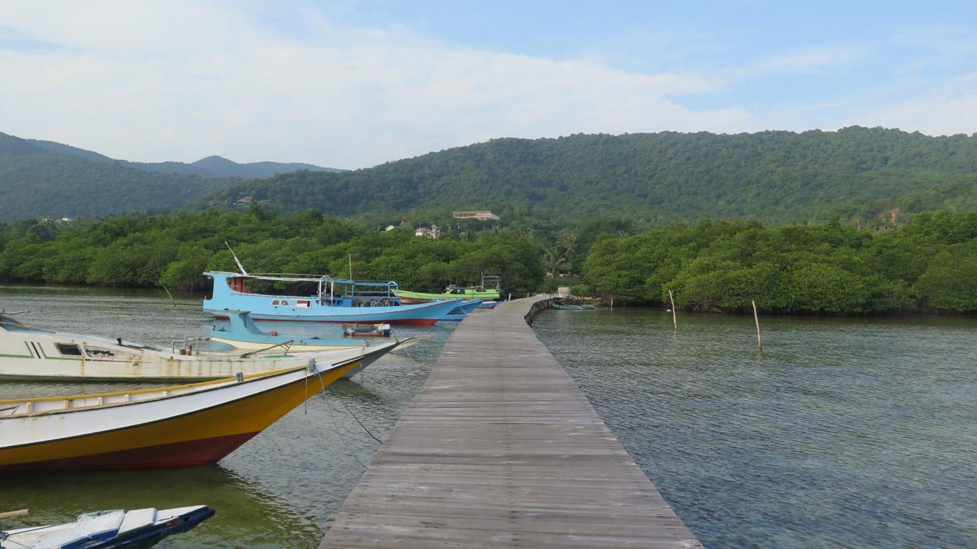 Mangrove Inn 카리문자와 외부 사진