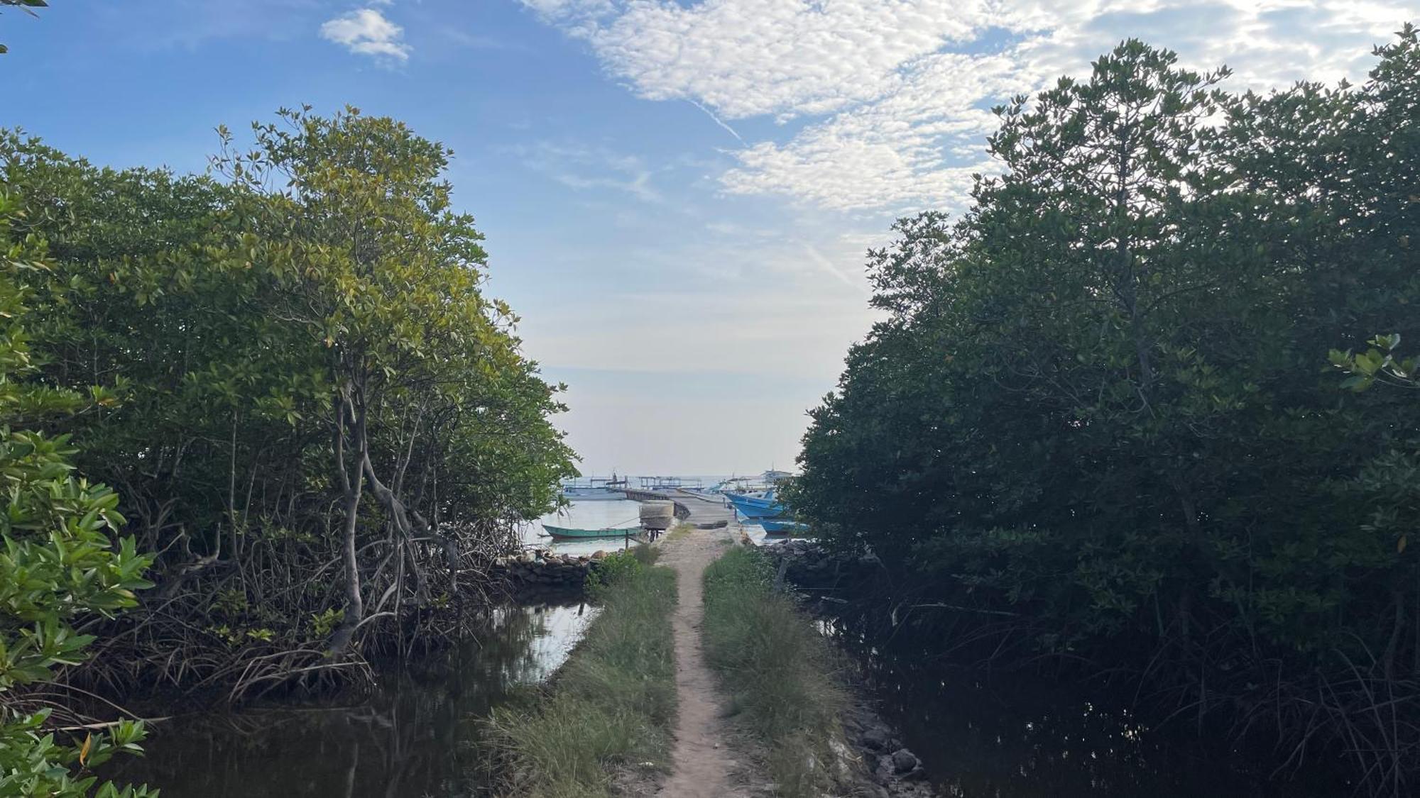 Mangrove Inn 카리문자와 외부 사진