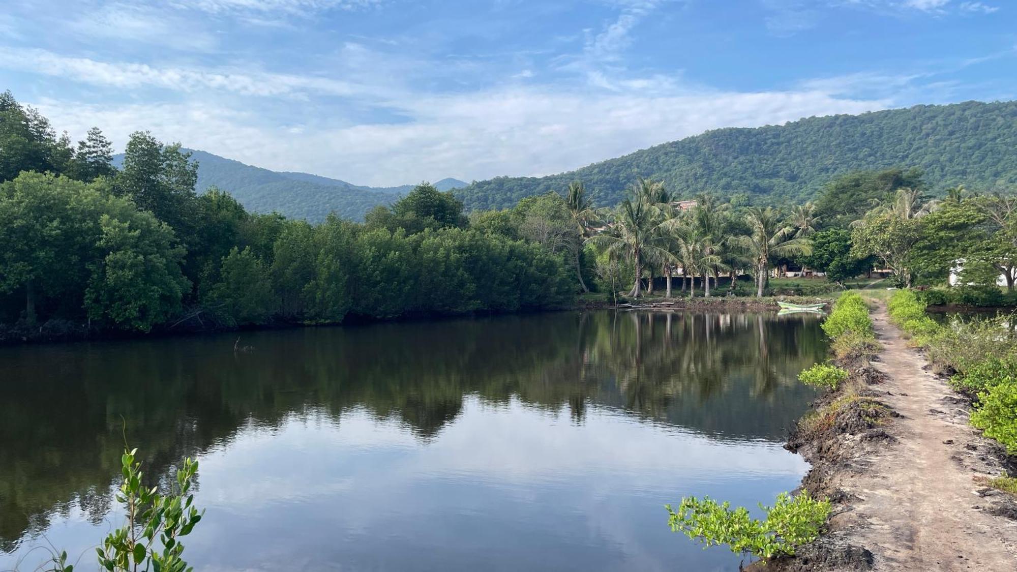 Mangrove Inn 카리문자와 외부 사진