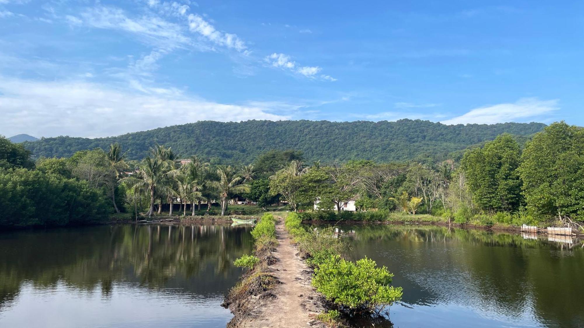 Mangrove Inn 카리문자와 외부 사진