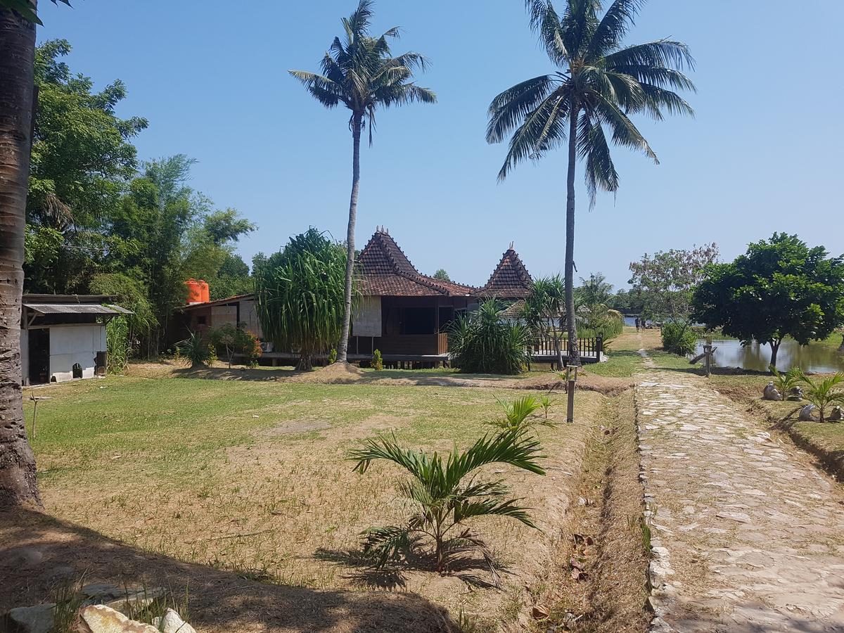 Mangrove Inn 카리문자와 외부 사진