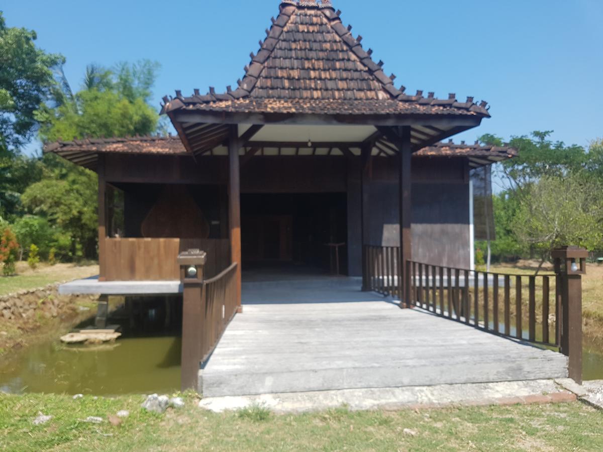Mangrove Inn 카리문자와 외부 사진