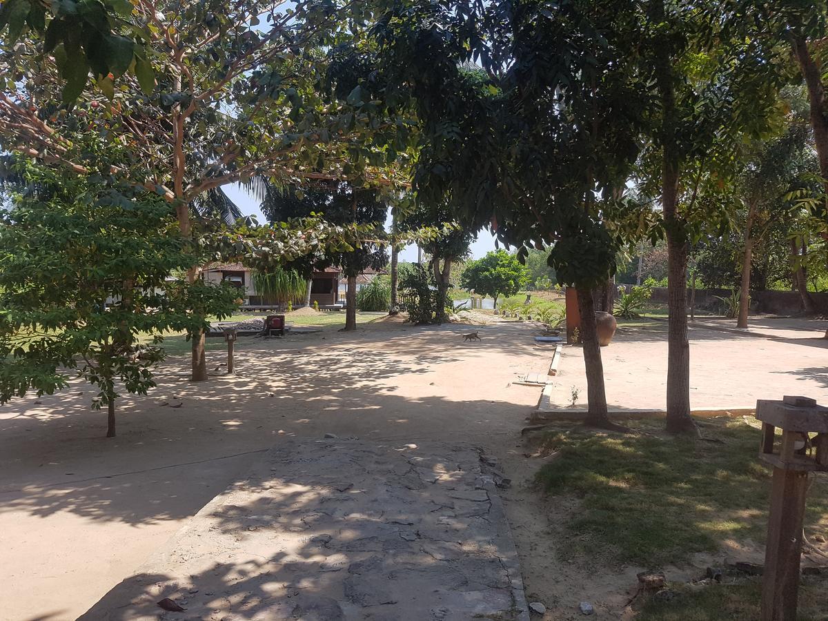 Mangrove Inn 카리문자와 외부 사진